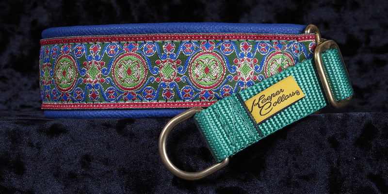 1 1/2 Inch Collar Gold, Blue, and Green China Infusion on Black Web with Blue Leather and a Green Tug and Brass Hardware Keeper Collars