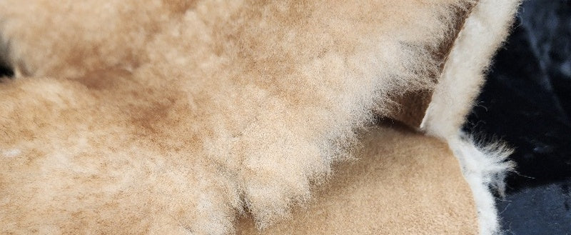 Shearling,Buff, Lt. Weight Keeper Collars