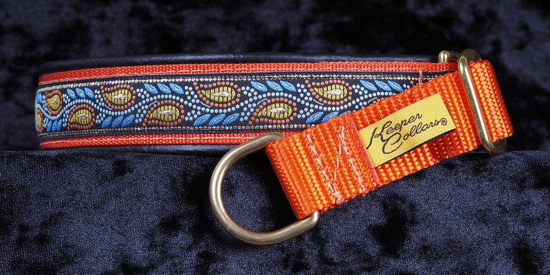 1 Inch Collar Gold and Orange Leaves on Orange Web with Black Leather and Brass Hardware Keeper Collars