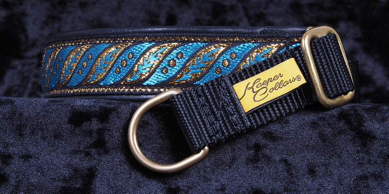 1 Inch Collar Gold and Teal Fern on Black Web with Black Leather and Brass Hardware Keeper Collars