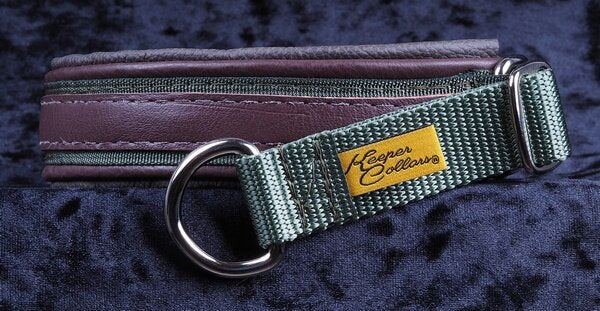 1 Inch Triple Dog Dare Ya Collar Brown Leather on Olive Web with