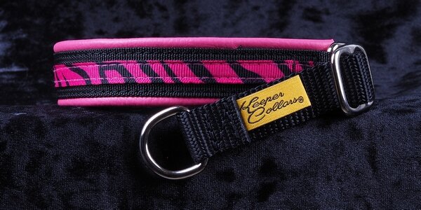3/4 Inch Collar Pink Tiger on Black Web with Dk. Pink Leather and Chrome Hardware