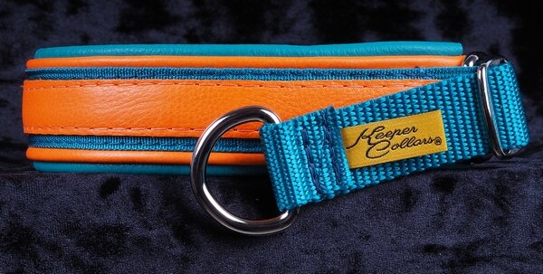 1 Inch Triple-Dog-Dare-Ya Collar Orange Leather on Teal Web with Orange and Teal Leather and Chrome Hardware Keeper Collars