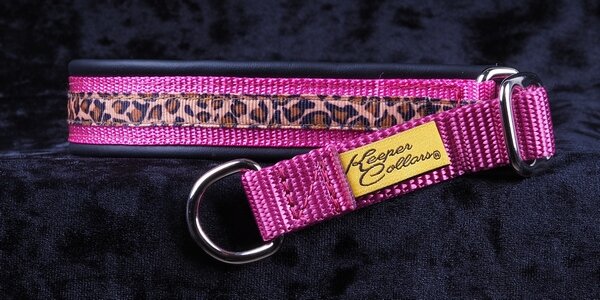 3/4 Inch Collar Leopard on Dk. Pink Web with Black Leather and Chrome Hardware Keeper Collars