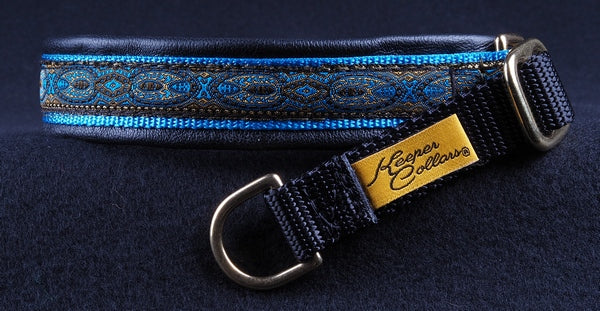 3/4 Inch Collar Gold and Blue Konta on Lt. Blue Web with Black Leather and a Black Tug and Brass Hardware
