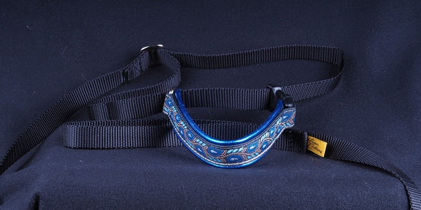 1 Inch Webbing Custom Double Handle Lead – Keeper Collars