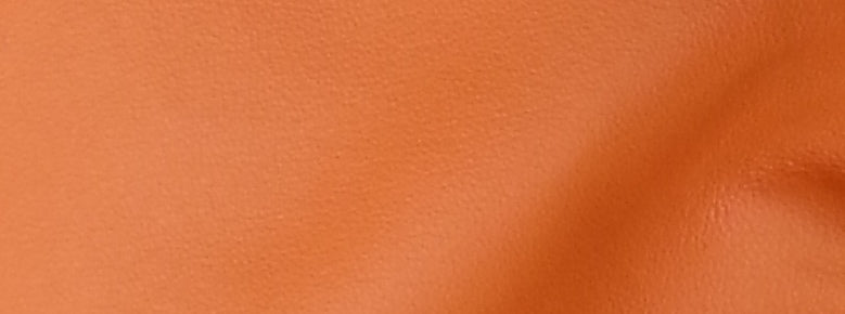 L20 Orange Leather Keeper Collars