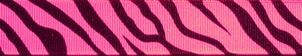 R5017-CG 7/8 Inch Pink Zebra Keeper Collars