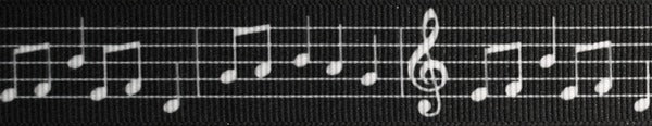 R6035-CG 1 Inch Music Keeper Collars