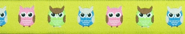 R5006 7/8 Inch Owls on Yellow Keeper Collars