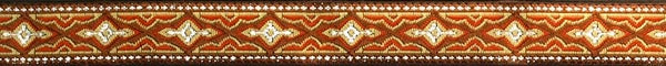 R2006 1/2 Inch Silver Western Skies Keeper Collars
