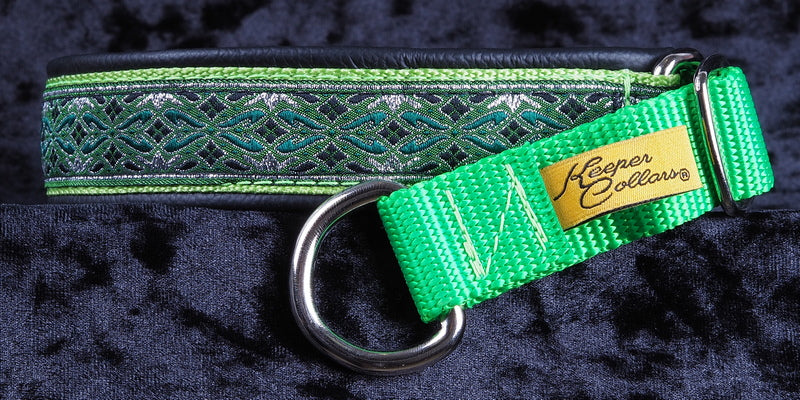Level 2 - 1 Inch Base Collar with Ribbon, Webbing and Single Leather with Chrome Hardware