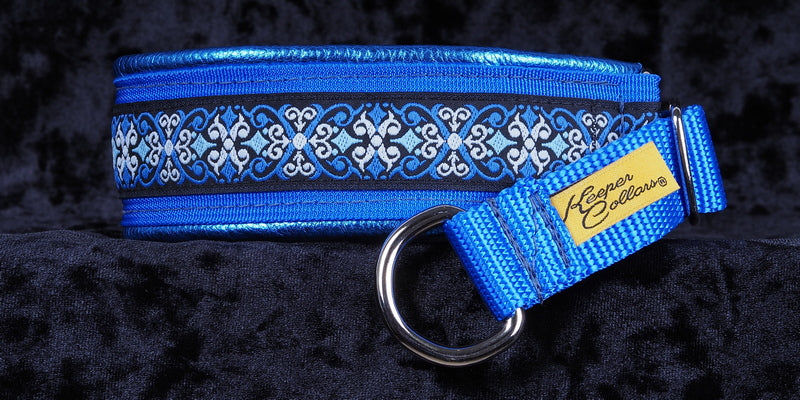 1 1/2 Inch Collar Frozen on Royal Blue Web with Metallic Royal Blue Leather and Chrome Hardware Keeper Collars