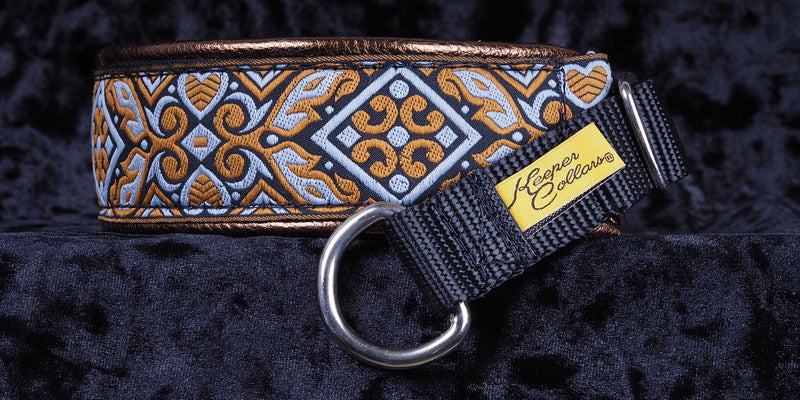 1 1/2 Inch Collar Orange and Gray Whale Tail on Black Web with Metallic Copper Leather and Chrome Hardware Keeper Collars