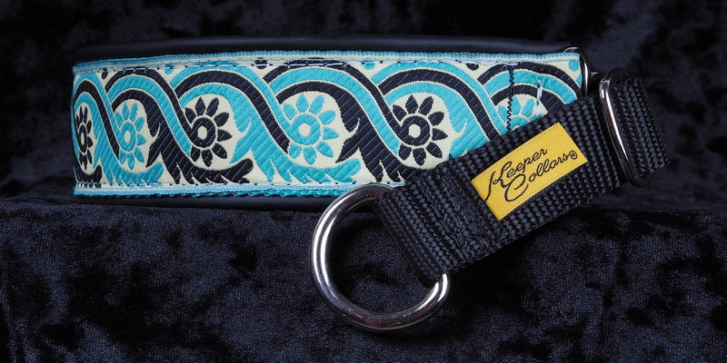 1 1/2 Inch Collar Teal and Black Rooster Tails on Black Web with Black Leather and Chrome Hardware Keeper Collars
