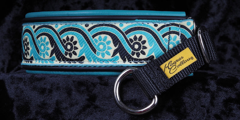 1 1/2 Inch Double Leather Collar Teal and Black Rooster Tails on Black Web with Teal and Black Leather and Chrome Hardware Keeper Collars