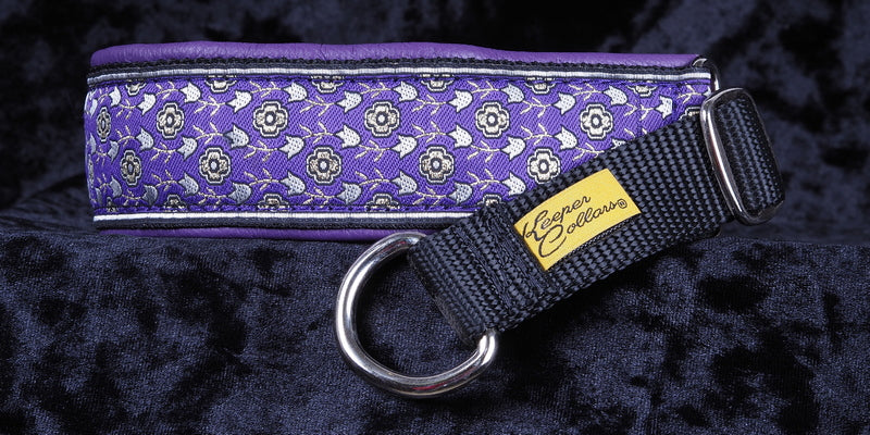 1 1/2 Inch Collar Silver, Gold and Purple Tulips on Black Web with Purple Leather and Chrome Hardware Keeper Collars