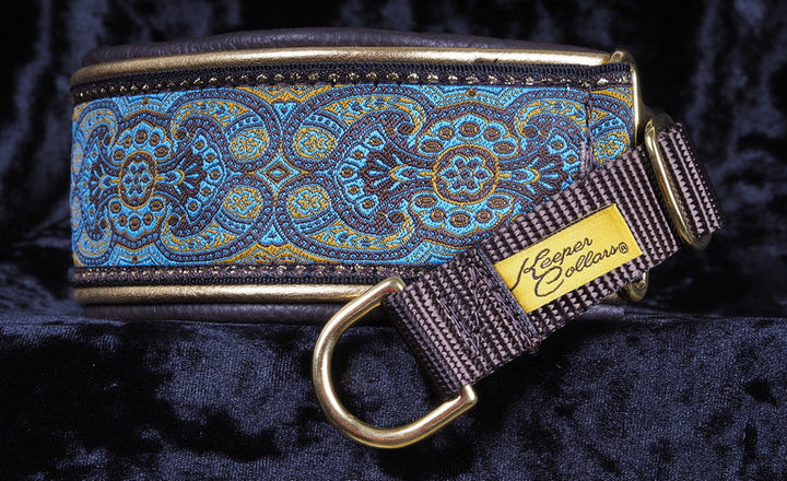 2 Inch Double Leather Blue Konta on Black Web with Metallic Gold and Brown Leather with a Brown Tug with Brass Hardware Keeper Collars