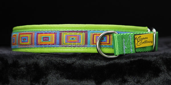 3/4 Inch Collar Colored Squares on Lime Web with Lime Leather and Chrome Hardware