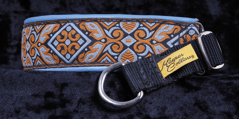 1 1/2 Inch Collar Orange and Gray Whale Tail on Black Web with Blue-Gray Leather and Chrome Hardware Keeper Collars