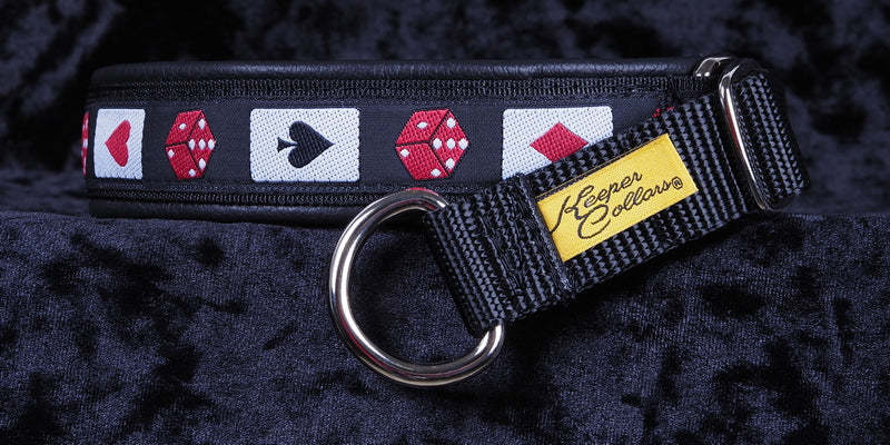 1 Inch Collar Cards and Dice on Black Web with Black Leather and Chrome Hardware Keeper Collars