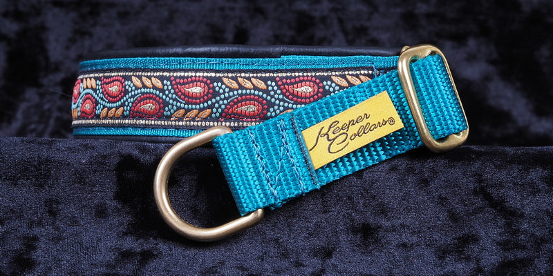 1 Inch Collar Flame Leaves on Teal Web with Black Leather and Brass Hardware Keeper Collars