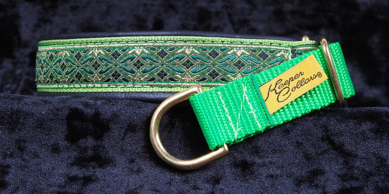 1 Inch Collar Gold and Green Diamonds on Lime Web with Black Leather and Brass Hardware Keeper Collars