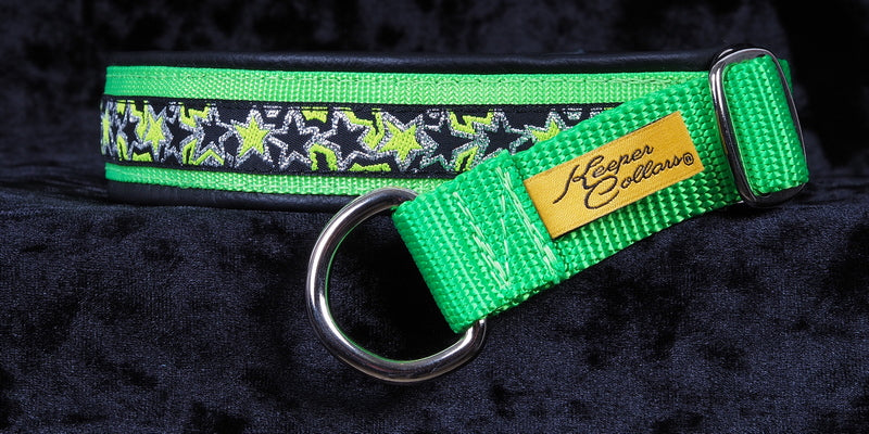 1 Inch Collar Lime Stars with Silver and Black on Lime Green Web with Black Leather and Chrome Hardware