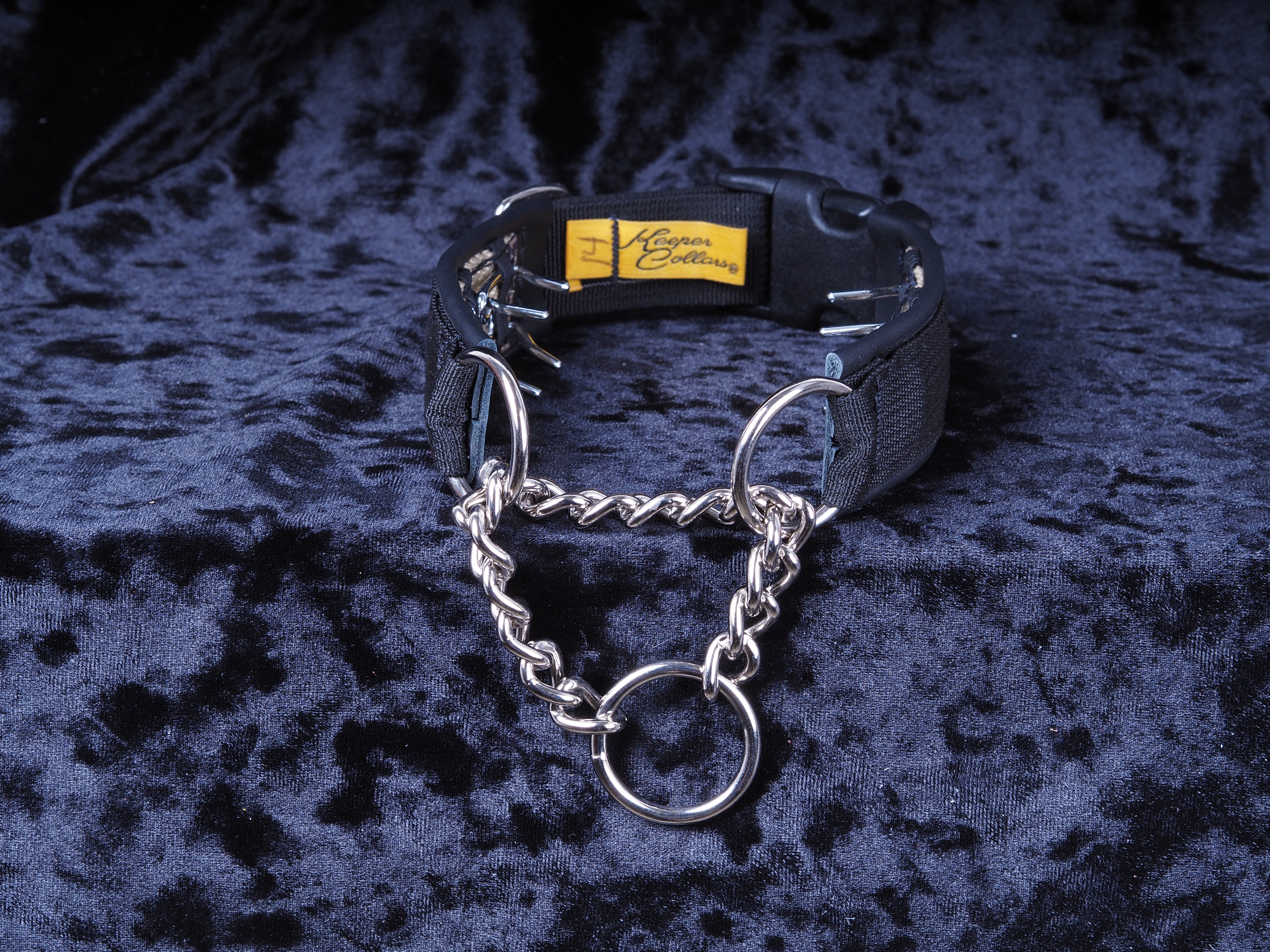 Hidden prong 2025 collar with buckle