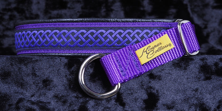 1 Inch Collar Purple Celtic Knot on Purple Web with Black Leather and Chrome Hardware