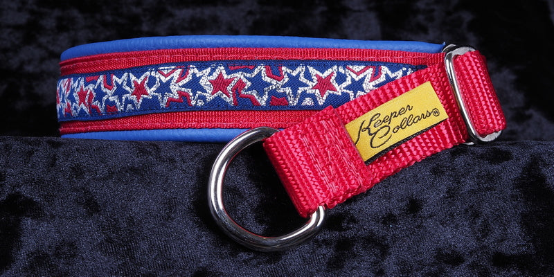 1 Inch Collar Blue, Silver and Red Stars on Red Web with Blue Leather and Chrome Hardware Keeper Collars