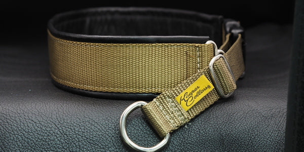 Return, 24" Flat Keeper Style Martingale collar, 1/5 Coyote Web, Black Leather, Chrome Hardware