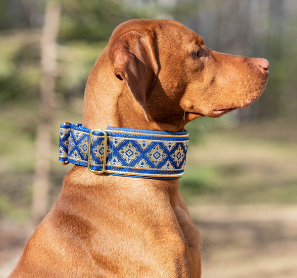 Gallery Keeper Collars