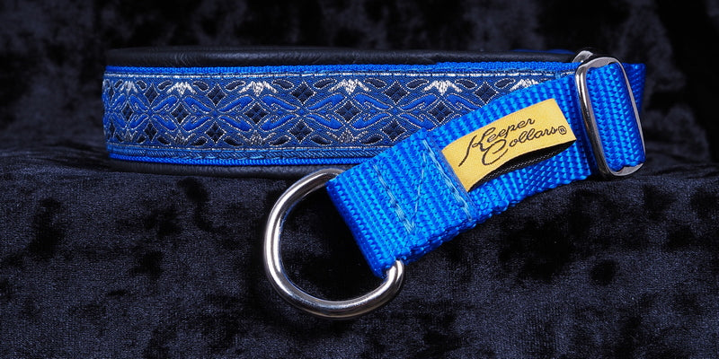 1 Inch Collar Silver and Blue Diamonds on Royal Blue Web with Black Leather and Chrome Hardware Keeper Collars