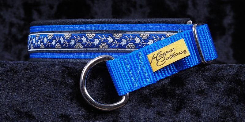 1 Inch Collar Silver, Gold and Blue Tulips on Royal Blue Web with Black Leather and Chrome Hardware Keeper Collars