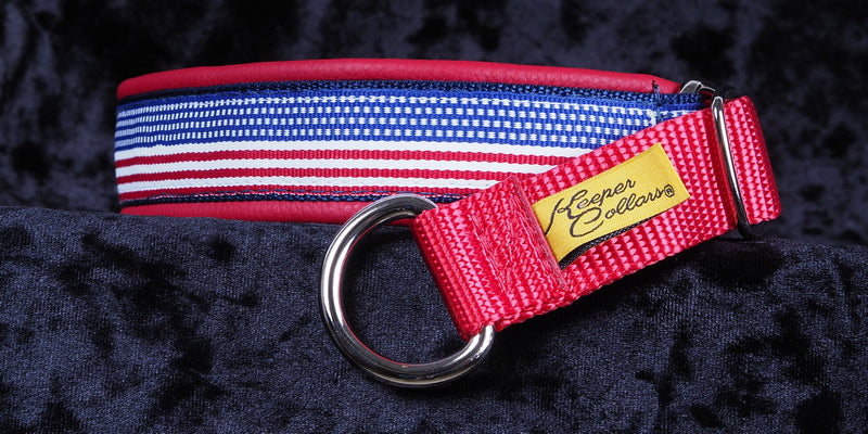 1 Inch Collar Stars and Stripes on Navy Web with Red Leather and a Red Tug and Chrome Hardware Keeper Collars
