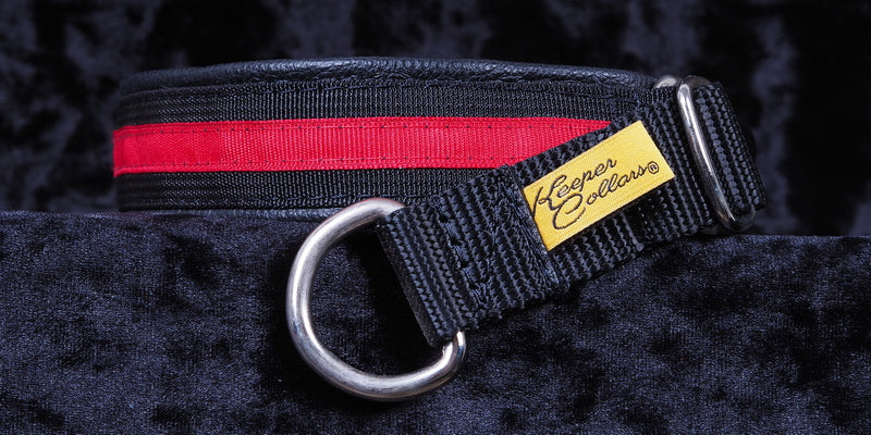 1 Inch Collar Thin Red Line Red on Black Web with Black Leather and Chrome Hardware Keeper Collars