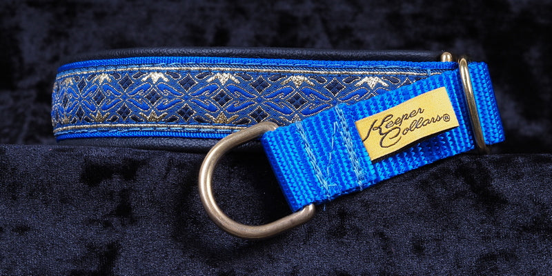 1 Inch Collar Gold and Blue Diamonds on Royal Blue Web with Black Leather and Brass Hardware Keeper Collars