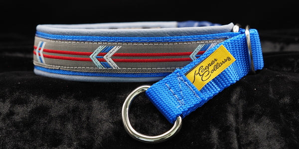 1 Inch Collar Light Blue Red and White Arrows on Gray on Royal Blue Web with Light Blue Leather Leather and Chrome Hardware