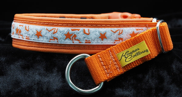 1 Inch Collar Silver Orange and White Stars on Orange Web with Orange Leather and Chrome Hardware