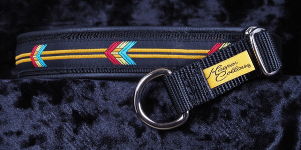 1 Inch Collar Red, Light Blue  and Yellow Arrows on Black Web with Black Leather and Chrome Hardware