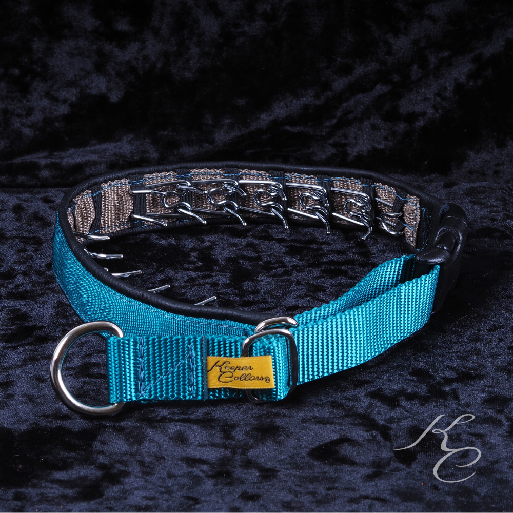 Keeper hidden top prong collars