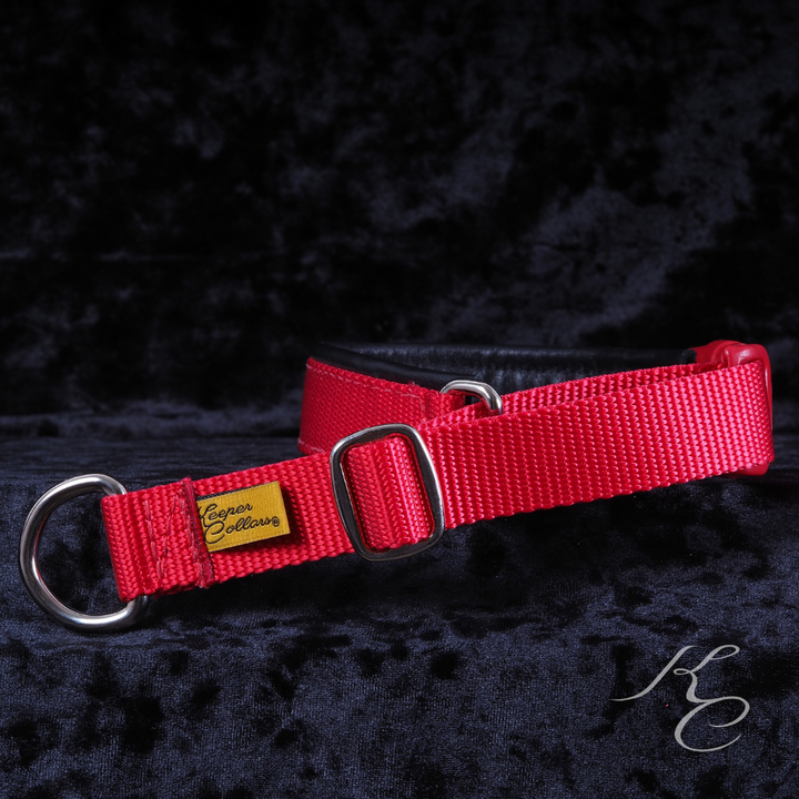 How to choose your collar Keeper Collars