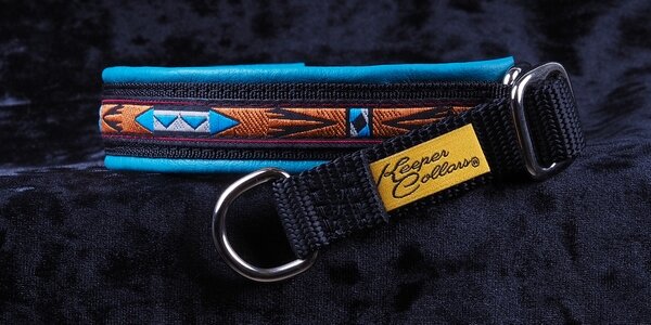 3/4 Inch Collar Arizona on Black Web with Teal Leather and Chrome Hardware