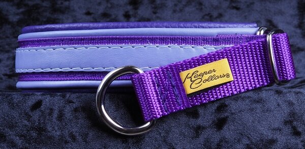 1 Inch Triple-Dog-Dare-Ya Collar Violet Leather on Purple Web with Violet and Purple Leather and Chrome Hardware