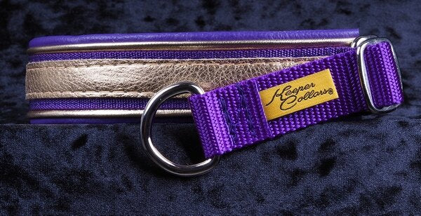 1 Inch Triple-Dog-Dare-Ya Collar Metallic Gold Leather on Purple Web with Metallic Gold and Purple Leather and Chrome Hardware