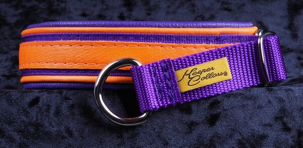 1 Inch Triple-Dog-Dare-Ya Collar Orange Leather on Purple Web with Orange and Purple Leather and Chrome Hardware