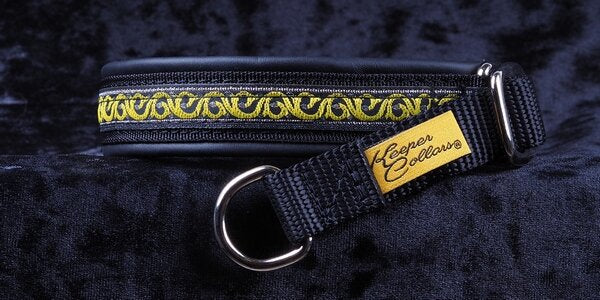 3/4 Inch Collar Silver and Yellow Scroll on Black Web with Black Leather and Chrome Hardware