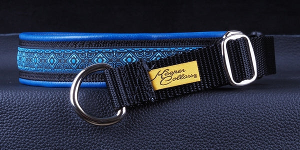 1 Inch Collar Blue Geo on Black Web with Royal Blue Leather and Chrome Hardware Keeper Collars