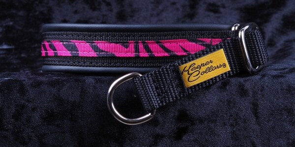 3/4 Inch Collar Pink Tiger on Black Web with Black Leather and Chrome Hardware